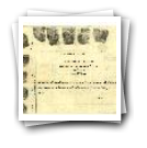 Registo do bilhete de identidade n.º 29