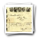 Registo do bilhete de identidade n.º 53
