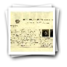 Registo do bilhete de identidade n.º 28
