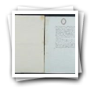 Processo de admissão de Angelina, n.º 514 de 1893